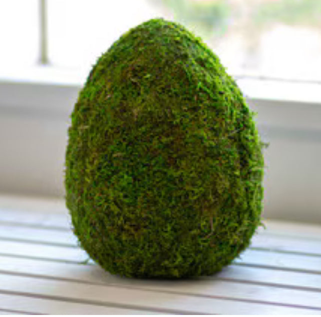 Moss Egg Decor